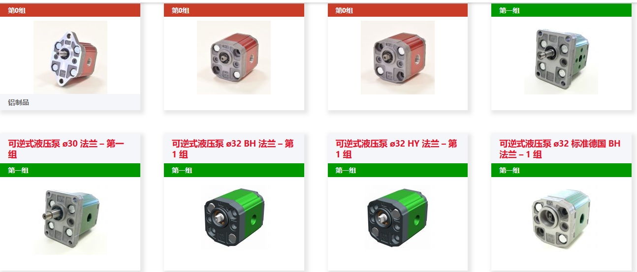 双向泵1.png