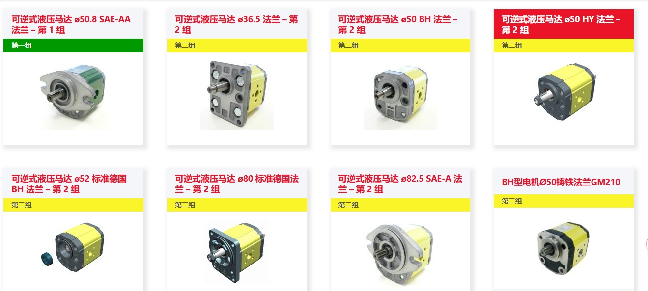 双向齿轮马达2.png