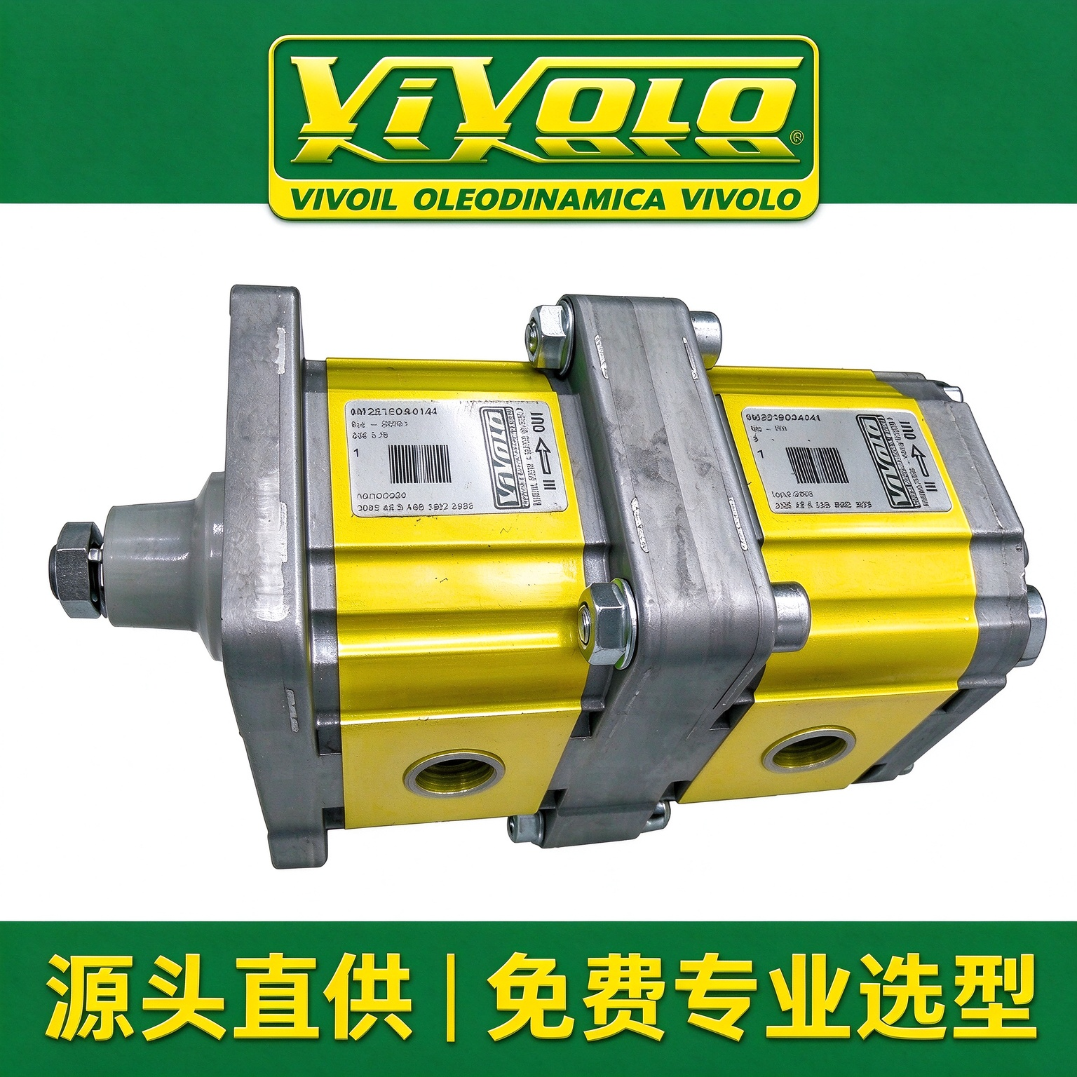 9M251BGA4747 意大利 VIVOIL（维沃尔 / Vivolo）双联液压齿轮泵